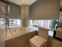 Angullia Park Residences @ Orchard (D10), Apartment #515878571